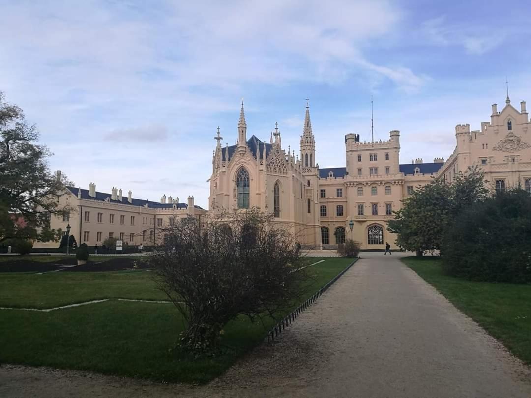 Apartman U Vrbu Černá v Pošumaví Exterior foto
